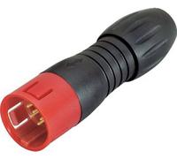 binder 99 9133 52 12-20 Fiche mâle de câble mâle, droit Nombre total de pôles: 12 Série (connecteur rond): 720 1 pc(s)