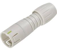 binder 99 9205 400 03 Connecteur circulaire subminiature mâle, droit Nombre total de pôles: 3 1 pc(s)