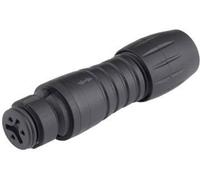 binder 99-9206-00-03 Cosse cylindrique mâle femelle, droit Nombre total de pôles: 3 Série (connecteur rond): 620 1 pc(s)