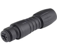 binder 99-9206-00-03 Cosse cylindrique mâle femelle, droit Nombre total de pôles: 3 Série (connecteur rond): 620 1 pc(s)