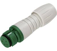 binder 99 9206 470 03 Connecteur circulaire subminiature femelle, droit Nombre total de pôles: 3 1 pc(s)