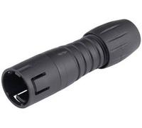 binder 99-9209-00-04 Cosse cylindrique mâle mâle, droit Nombre total de pôles: 4 Série (connecteur rond): 620 1 pc(s)