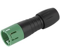 binder 99 9209 070 04 Cosse cylindrique mâle mâle, droit Nombre total de pôles: 4 Série (connecteur rond): 620 1 pc(s)