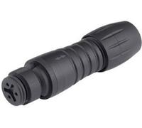 binder 99-9210-00-04 Cosse cylindrique mâle femelle, droit Nombre total de pôles: 4 Série (connecteur rond): 620 1 pc(s)