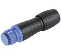 binder 99 9210 060 04 Cosse cylindrique mâle femelle, droit Nombre total de pôles: 4 Série (connecteur rond): 620 1 pc(s)