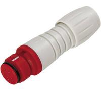 binder 99 9210 450 04 Connecteur circulaire subminiature femelle, droit Nombre total de pôles: 4 1 pc(s)