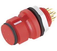 binder 99 9216 050 05 Cosse cylindrique mâle embase femelle Nombre total de pôles: 5 Série (connecteur rond): 620 1 pc(s)