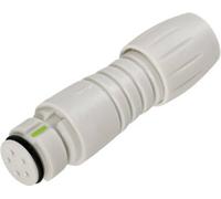 binder 99 9226 400 08 Connecteur circulaire subminiature femelle, droit Nombre total de pôles: 8 1 pc(s)