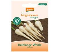 Bingenheimer Saatgut AG - Panais blanc mi-long - Panais (semences) - 1pc