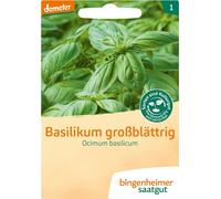 Bingenheimer Saatgut Basilic à Grandes Feuilles - 1 sachet