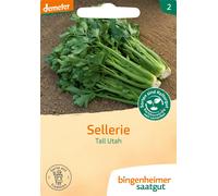 Bingenheimer Saatgut Céleri-Branche "Tall Utah" - 1 sachet