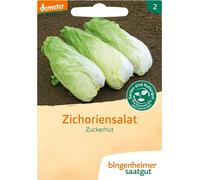 Bingenheimer Saatgut Chicorée "Pain de Sucre" - 1 sachet