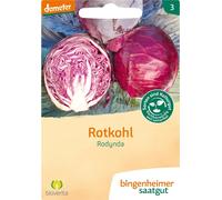 Bingenheimer Saatgut Chou Rouge "Rodynda" - 1 sachet