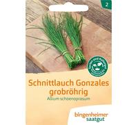 Bingenheimer Saatgut Ciboulette "Gonzales" - 1 sachet
