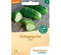 Bingenheimer Saatgut Cornichon "Liefje" - 1 sachet