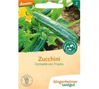 Bingenheimer Saatgut Courgette "Cocozelle de Tripolis" - 1 sachet