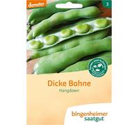 Bingenheimer Saatgut Fève "Hangdown grünkernig" - 1 sachet