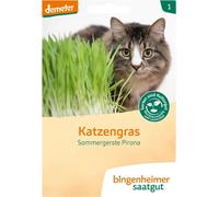 Bingenheimer Saatgut Herbe à Chat - 60 g