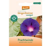 Bingenheimer Saatgut - Liseron magnifique