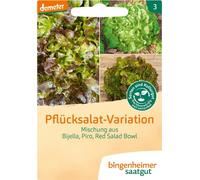 Bingenheimer Saatgut Mélange Salade Feuille de Chêne - 0,17 g
