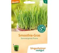 Bingenheimer Saatgut Orge de Printemps Pirona "Herbe à Smoothie" - 1 sachet