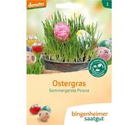 Bingenheimer Saatgut Orge de Printemps Pirona "Herbe de Pâques" - 1 sachet