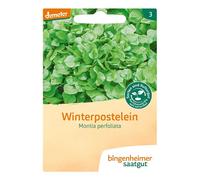 Bingenheimer Saatgut - Petite poire d'hiver - 1g