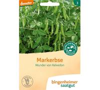 Bingenheimer Saatgut Pois "Merveille de Kelvedon" - 1 sachet