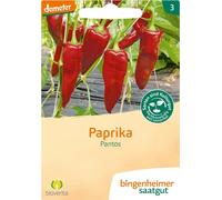 Bingenheimer Saatgut Poivron "Pantos" - 1 sachet