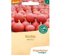 Bingenheimer Saatgut Potiron Hokkaido "Red Kuri" - 1 sachet