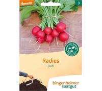 Bingenheimer Saatgut Radis "Rudi" - 1 sachet