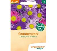 Bingenheimer Saatgut Reine-Marguerite - 1 sachet