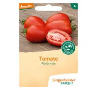 Bingenheimer Saatgut Tomate "Rio Grande" - 1 sachet