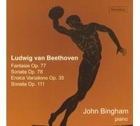 Bingham, John - Piano Music: Fantasia Op77