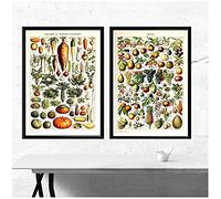 BINGJIACAI Vintage Légumes Fruits Champignon Affiche Toile Impression Antique Wall Art Botanique Éducation Photo Flore Tableau Cuisine Maison Déco-40x60cmx2 sans Cadre