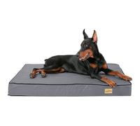 BingoPaw Panier pour Chien Orthopétique Coussin pour Chien Déhoussable Tapis Grande Taille 120 x 75 x 10 cm