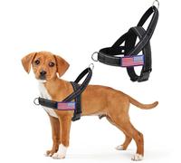 BINGPET Harnais anti-traction pour chien avec deux patchs et poignée douce, réfléchissant, réglable, facile à installer et anti-fugue pour promener les chiens de petite, moyenne et grande taille, noir