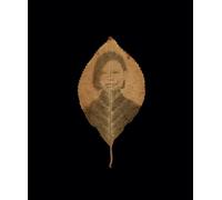 Binh Danh: The Enigma of Belonging /anglais