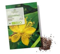 BIO graines de millepertuis - semences de plantes médicinales issues de l’agriculture biologique, idéales pour le jardin d’herbes aromatiques à la maison, le balcon et le jardin (300 graines)