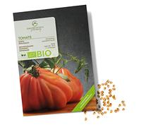 BIO Graines de tomates (Cœur de bœuf) - Graines de tomates de culture biologique idéales pour la culture dans le jardin, sur le balcon ou dans le potager surélevé