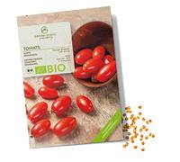 BIO Graines de tomates (Principe Borghese) - Graines de tomates de culture biologique idéales pour la culture dans le jardin, sur le balcon ou dans le potager surélevé