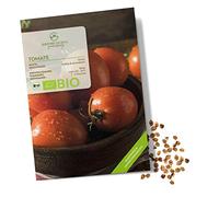 BIO Graines de tomates (Roma) - Graines de tomates de culture biologique idéales pour la culture dans le jardin, sur le balcon ou dans le potager surélevé