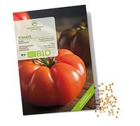 BIO Graines de tomates (Rouge de Marmande) - Graines de tomates de culture biologique idéales pour la culture dans le jardin, sur le balcon ou dans le potager surélevé