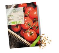 BIO Graines de tomates (Saint Pierre) - Graines de tomates de culture biologique idéales pour la culture dans le jardin, sur le balcon ou dans le potager surélevé