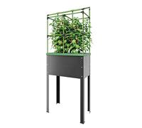 Bio Green Heidelberg Jardinière surélevée de 38 litres avec Treillis, 30 x 70 x 231 cm (L x l x H), jardinière en métal à Auto-arrosage, idéale pour Les Plantes grimpantes