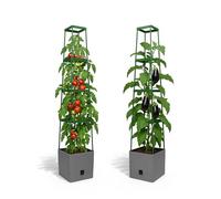 Bio Green Maxitom Lot de 2 jardinières pour tomates avec Treillis de 150 cm et arrosage Automatique, bac de 16 litres pour Plantes grimpantes, Gris