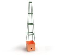 Bio Green MT 1Q Tour pour Plantes Grimpantes Maxitom Terracotta 25,5 x 25,5 x 150 cm