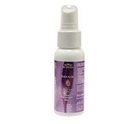 Bio-Groom Spray après-shampoing Indulge à l'huile d'argan - Pour chien - Pour peaux extrêmement sèches ou squameuses - Avec vitamine E, acide linoléique et acides gras oméga-6 - Aide à démêler le