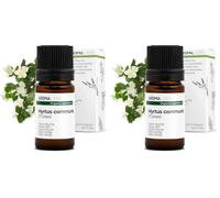 BIO - Huile essentielle MYRTE VERT - 5mL - 100% Pure, Naturelle, Chémotypée et Certifiée AB - AROMA LABS (Marque Française) (Lot de 2)