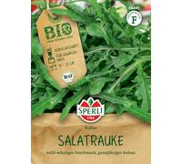 BIO-Kräuter Salatrauke